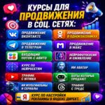 ШКОЛА ТРАФИКА КУРСЫ 1